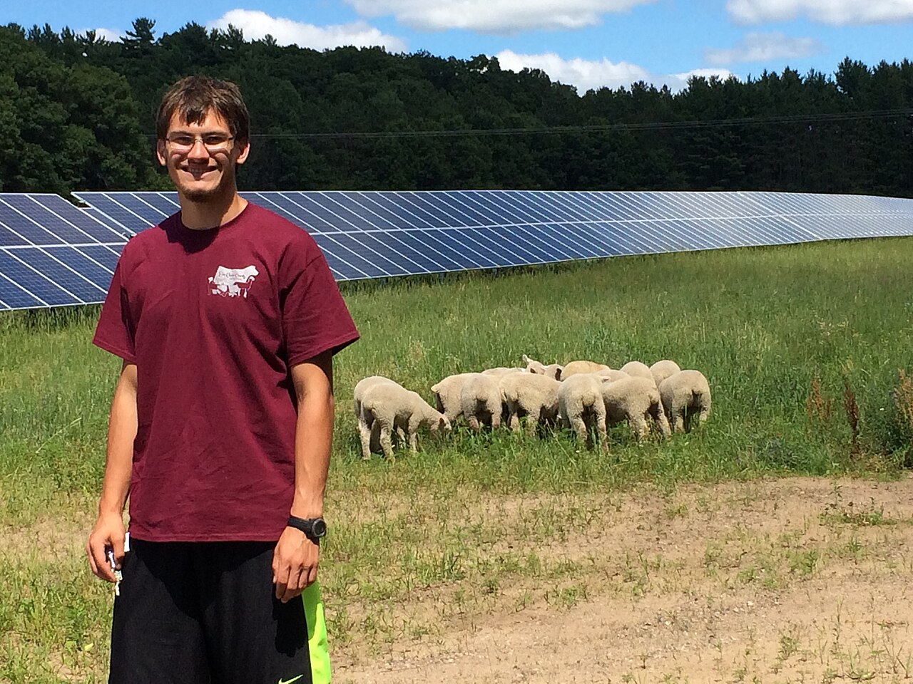 Community Solar: Savings Without Panels on Your Roof